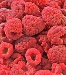 Cela i lomljena
